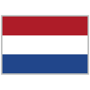 NED logo
