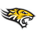 Towson logo