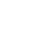 Texas logo