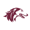 Southern Illinois Salukis