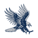 Dickinson State Blue Hawks
