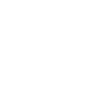 Raptors logo