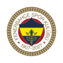 Fenerbahce logo